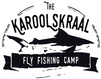 Flydotfish logo